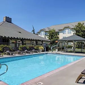 Hotel Homewood By Hilton / Portland