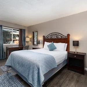 *** Hotel The Alder Verenigde Staten